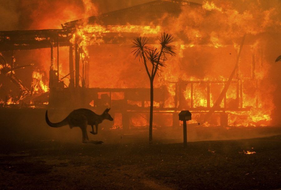 Australia+Wildfires