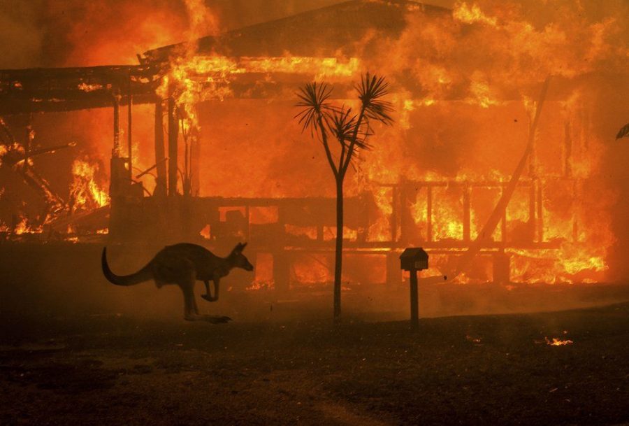 Australia Wildfires