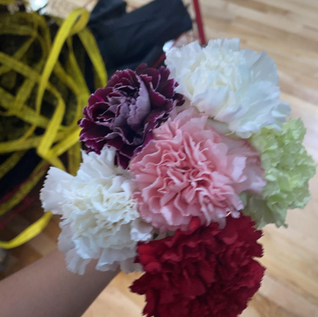 Sharing Love with Carnations