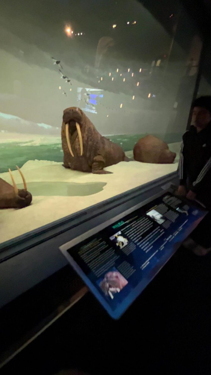 Exploring the American Museum of Natural History with the Class of 2026