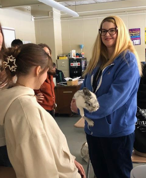 Meeting the rabbit!